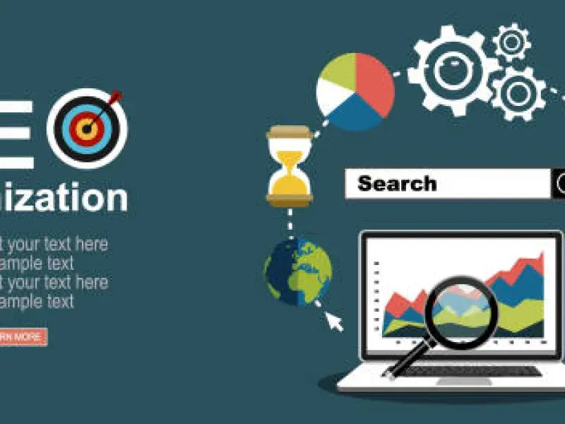 Professional SEO Specialist process