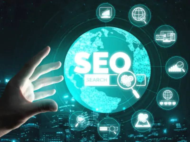 Professional WordPress SEO Services process