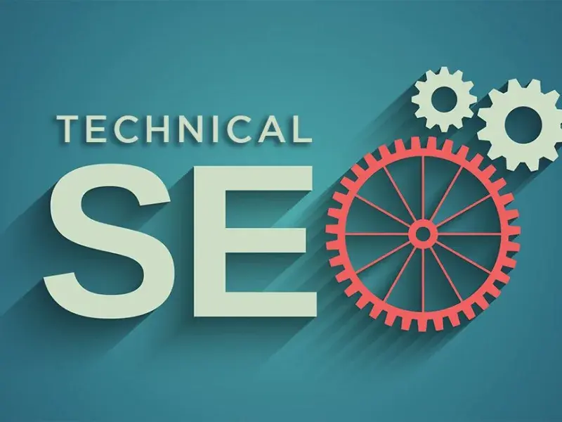 Professional Site Architecture Optimization process