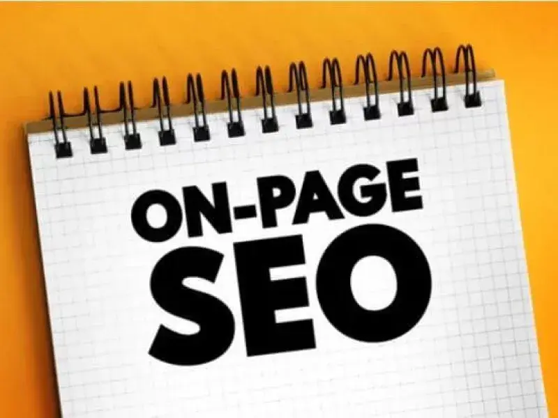 SEO Services in Frankston, VIC - SeoDandenong.com.au