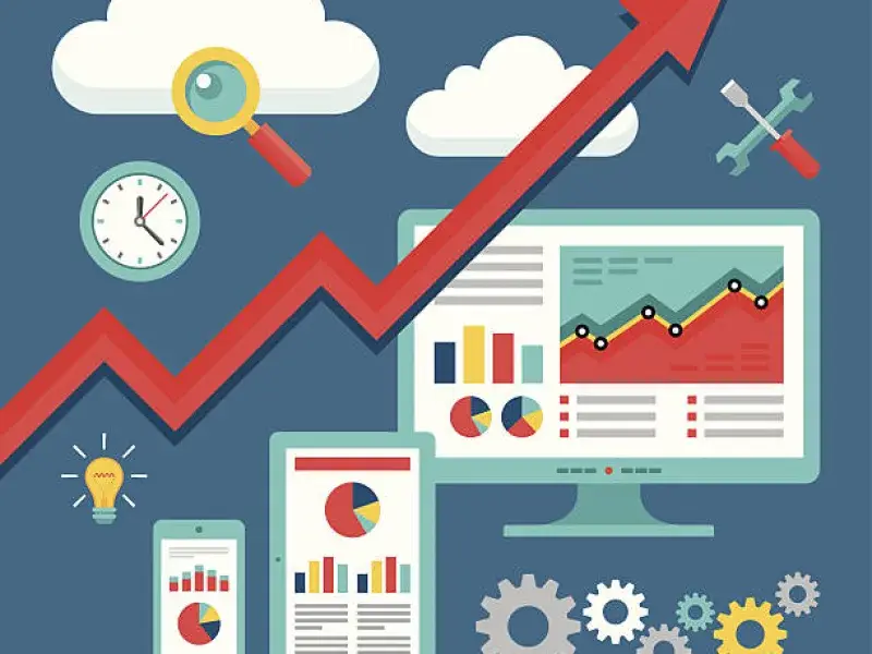 Professional Review Management Services process