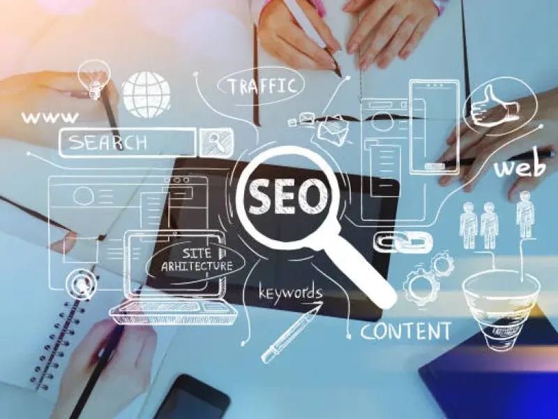 Professional SEO Agency process
