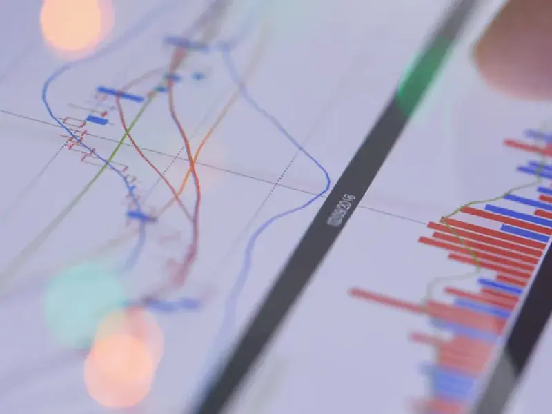 Professional SEO Audit Reporting process